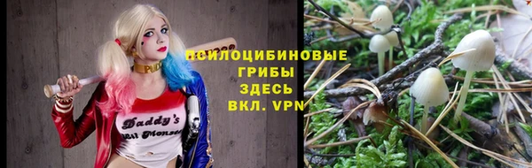 Альфа ПВП Армянск