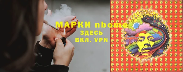 твердый Аркадак