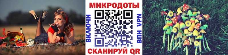 MEGA ONION  Сусуман  Псилоцибиновые грибы Psilocybine cubensis 